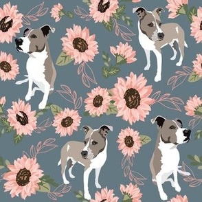 Luna Pitbull dog with pink sunflowers on gray