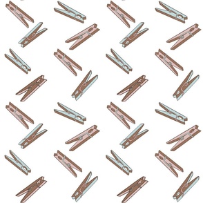 Laundry Room Clothespins on a White background