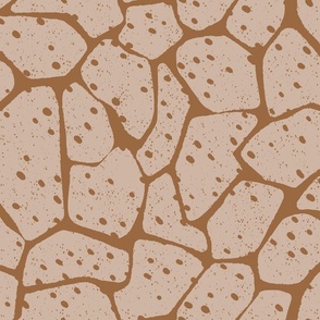 Earth Tones Nature Textures Giraffe Sand