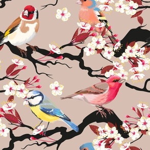 Hanami: Assorted Colorful Songbirds on Cherry Blossom Branches
