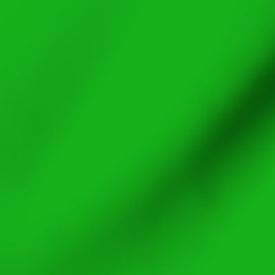 SOLID GREEN  #15b01a HTML HEX Colors