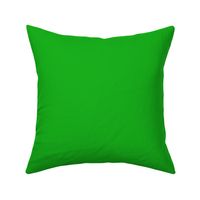 SOLID GREEN  #15b01a HTML HEX Colors