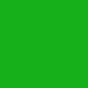 SOLID GREEN  #15b01a HTML HEX Colors