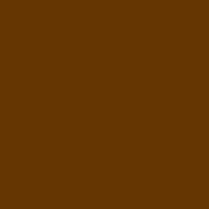 SOLID BROWN  #653700 HTML HEX Colors
