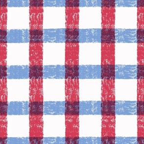 Gingham Check - Americana Red & Blue