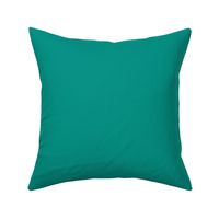 SOLID TEAL  #029386 HTML HEX Colors 