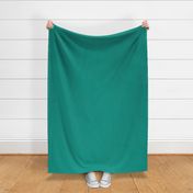 SOLID TEAL  #029386 HTML HEX Colors 