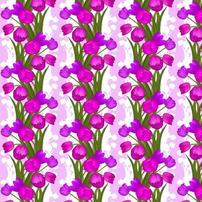 Pink and Purple Tulips on a Purple Background
