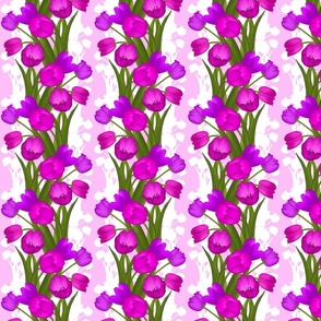 Pink and Purple Tulips on a Pink Background