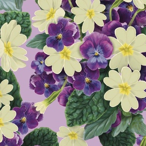 Violets and Primrose on Purple
