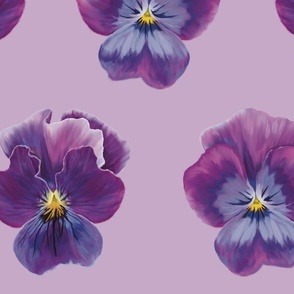 Large Violet Flowers on Light Purple