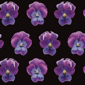 Smaller Violet Flowers on Black