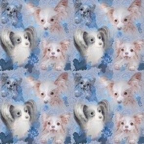 3x3-Inch Repeat of Dear Little Papillon Dogs on Blue Background