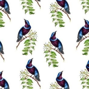 Vintage Victorian Banded Cotinga Birds on Branches