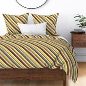 Modern Retro Diagonal Stacked Stripe