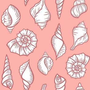  White Sea shells on pink (medium) 