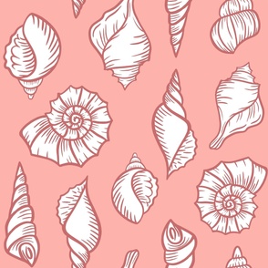  White Sea shells on pink (large)