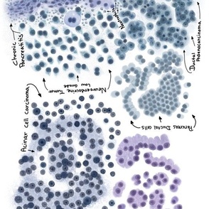 Cells from the human body. 
Cytology,  pathology,  histology,  teaching and learning guide.  Use it on any science project.  
Other cell types are in the shop and in our site CytoNerd.com 