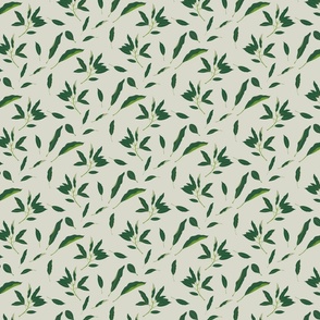 Avocado Leaves on Neutral Background (Small)