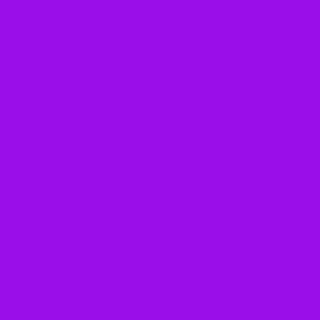 SOLID VIOLET #9a0eea HTML HEX Colors