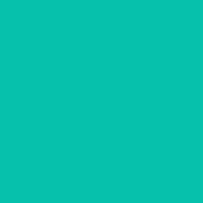 SOLID TURQUOISE #06c2ac HTML HEX Colors