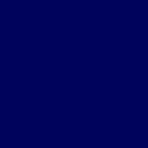 SOLID DARK BLUE  #00035b HTML HEX Colors