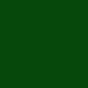 SOLID FOREST GREEN  #06470c HTML HEX Colors