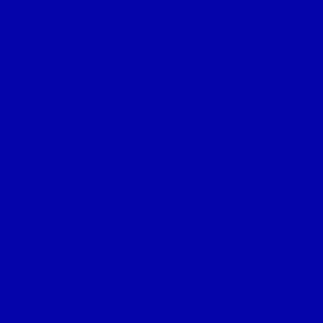 SOLID ROYAL BLUE  #0504aa HTML HEX Colors