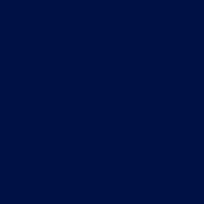 SOLID NAVY BLUE  #001146 HTML HEX Colors