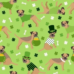 St. Patrick's Day  Border Terrier