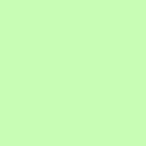 SOLID PALE GREEN #c7fdb5 HTML HEX Colors