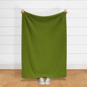 SOLID OLIVE GREEN #677a04 HTML HEX Colors