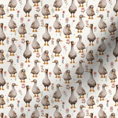 Silly Geese - a gaggle of geese S