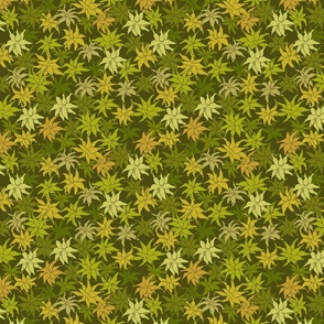 Moss pattern on dark green