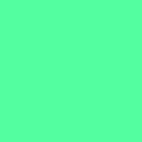 SOLID SEA GREEN #53fca1 HTML HEX Colors
