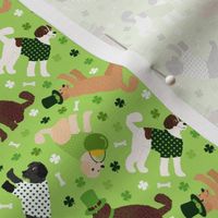 St. Patrick's Day  Labradoodle / Goldendoodle Small Scale