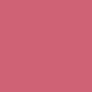 SOLID ROSE  #cf6275 HTML HEX Colors