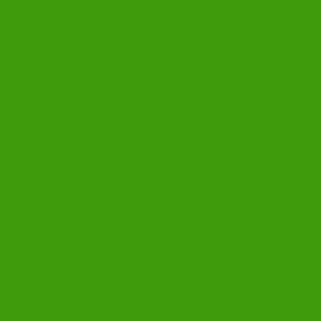 SOLID GRASS GREEN #3f9b0b HTML HEX Colors