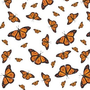 Monarch Butterflies