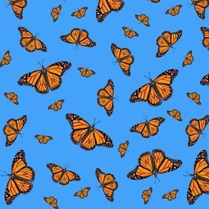 Monarch Butterflies on blue