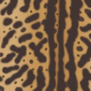 King Cheetah Fur 1