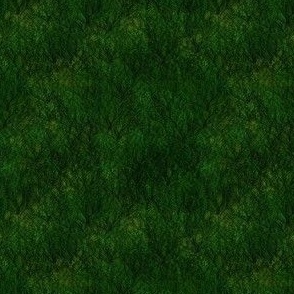 Moss Grass Background