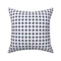 Tiny Joy Baby Nursery Kawaii / Gingham Blue