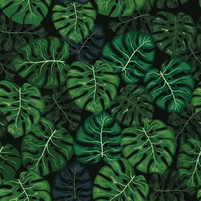Large Tropical Monstera Leaves in Rich Greens