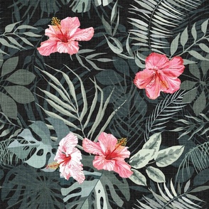 Tropical Pink Hibiscus Flowers on charcoal