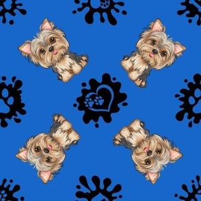 Puppy Love 13 Yorkshire Terrier Blue