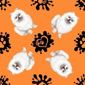 Puppy Love 14 Pomeranian Orange