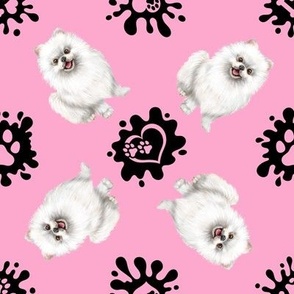 Puppy Love 14 Pomeranian Pink