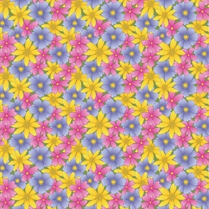 Verbena and Daisies in pink, purple, and yellow