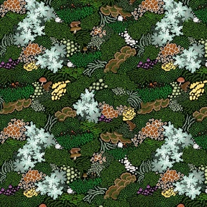 Lichen, Moss, and Mushrooms Small 